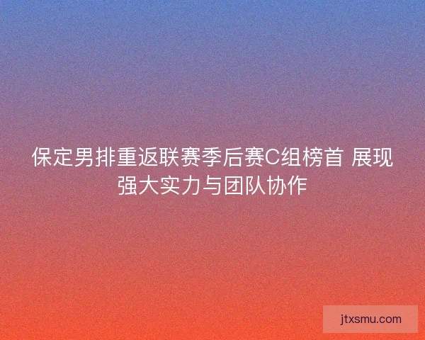 保定男排重返联赛季后赛C组榜首 展现强大实力与团队协作